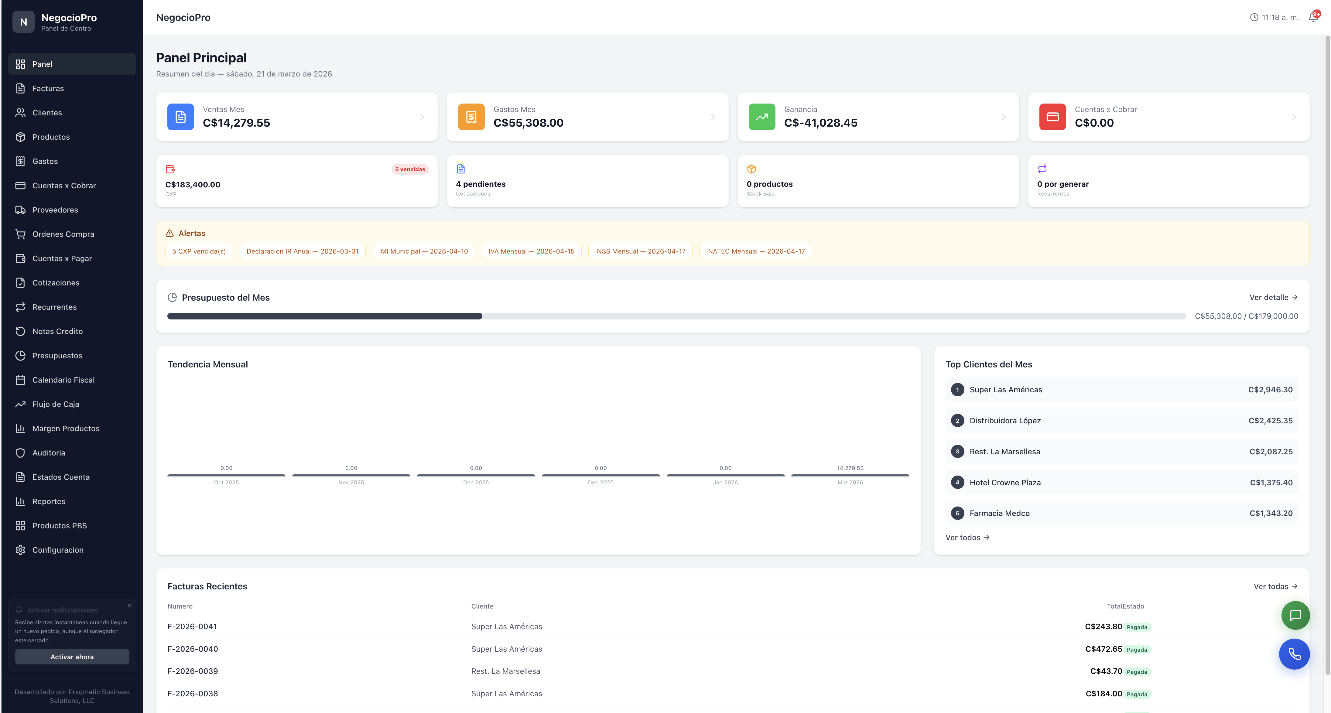 Panel — NegocioPro